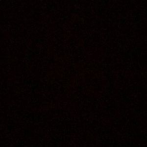 Meet your Posher, Kalani